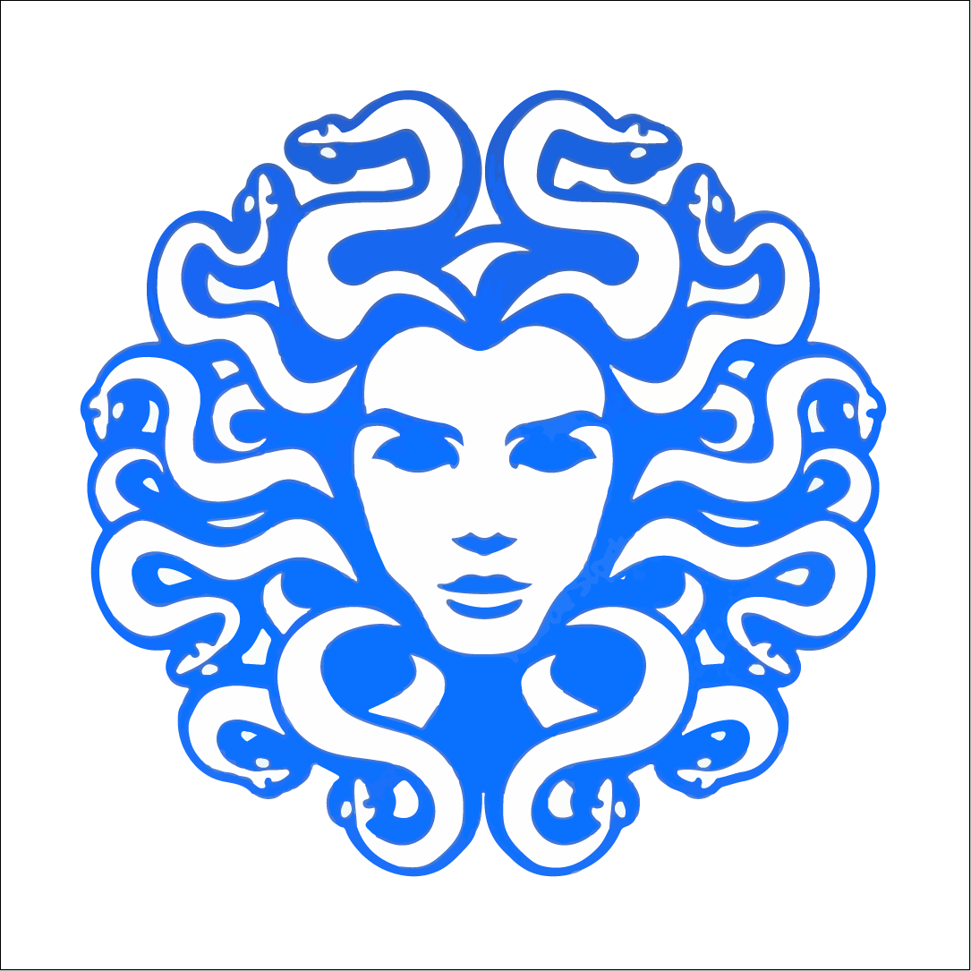 Symmetrical blue illustration of a woman's face surrounded by stylized snakes, resembling medusa, on a white background.